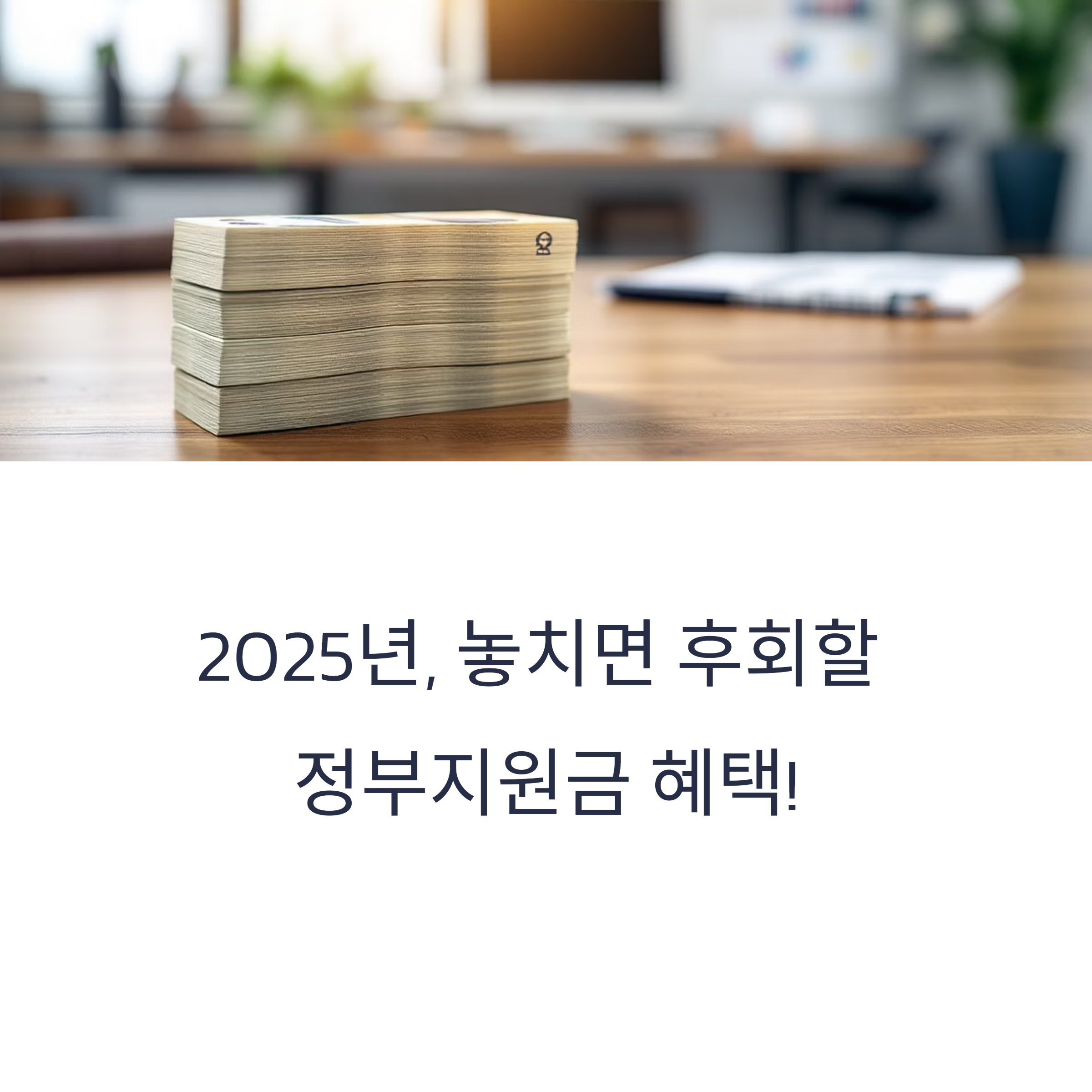 2025년 정부지원금 신청기간 및 지급일 총정리