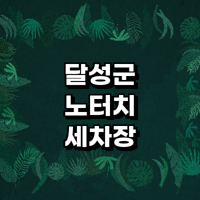 대구 달성군 노터치 세차