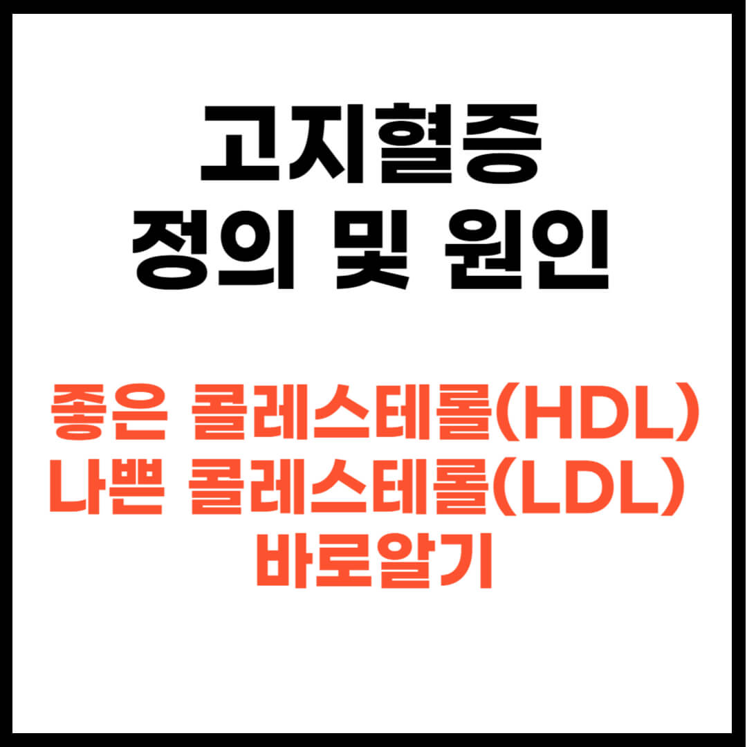 고지혈증과 좋은 콜레스테롤(HDL) 나쁜 콜레스테롤(LDL)