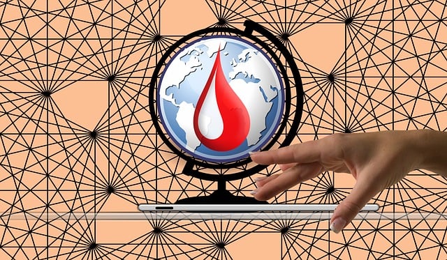 간수치 내리는 방법 9