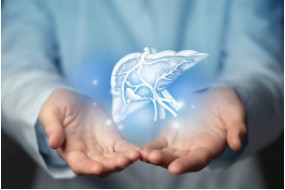 간수치-정상범위