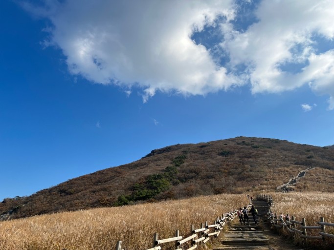 간월재-억새평원