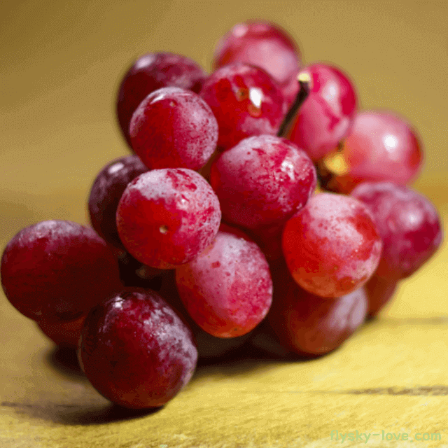 홍주씨들리스 효능