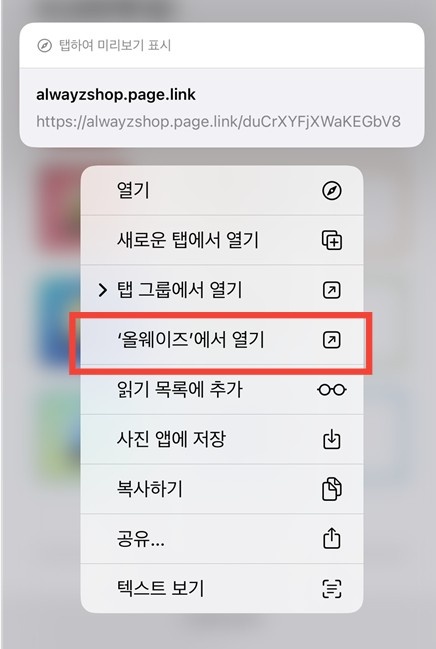 아이폰 올팜 사파리 실행