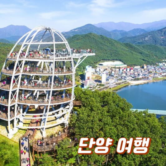 단양