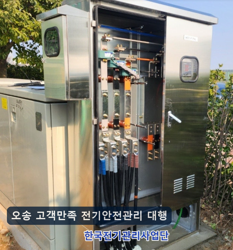 사진 2