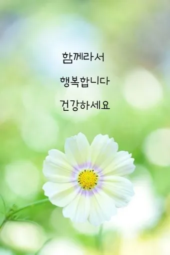 아침 인사로 좋은 글 이쁜글 기분좋은 인사말_9