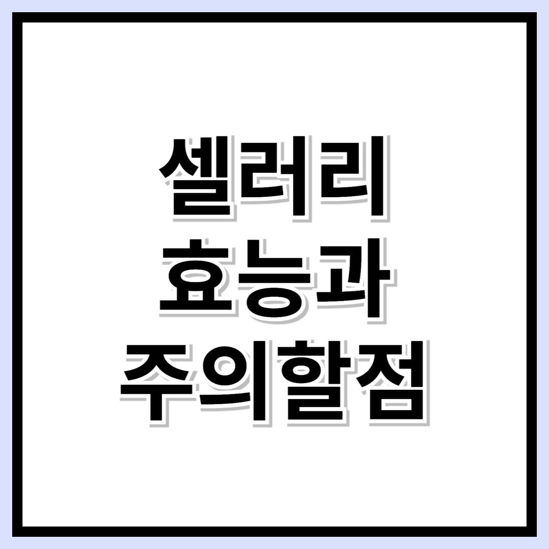 셀러리, 매일 먹어도 괜찮을까? 효능부터 보관법, 부작용 총정리