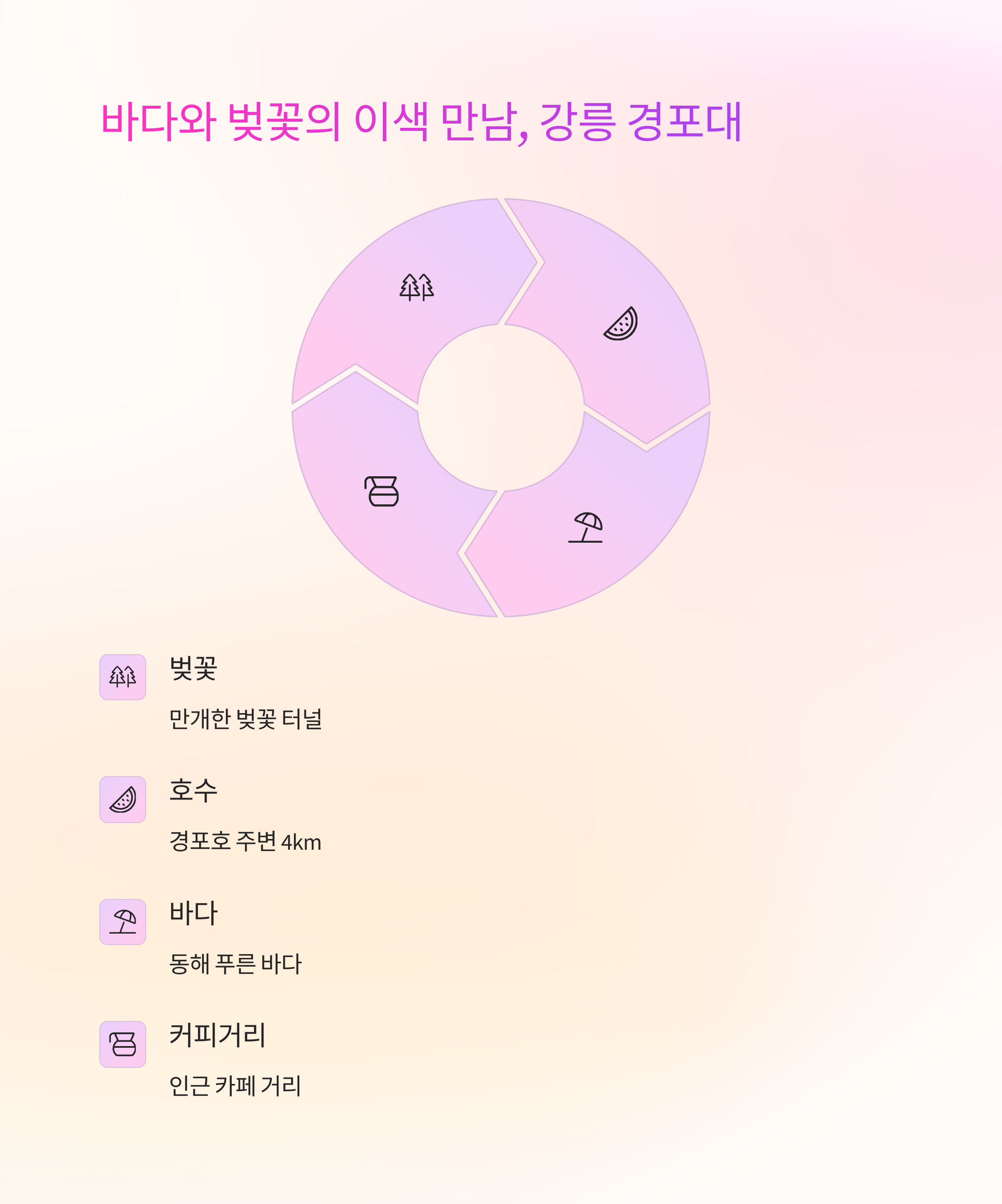 🌸 강릉 경포대 벚꽃과 바다