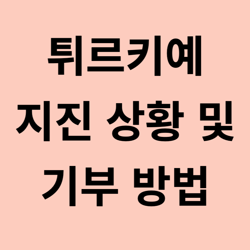 튀르키예 터키 지진 상황 및 기부 방법
