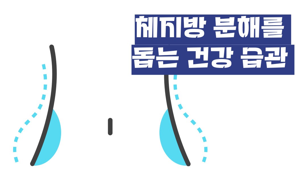 흑초 효능