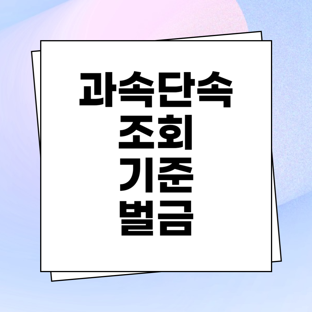 과속단속 조회 기준 벌금 사진