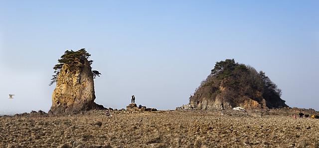 충청도 가볼만한곳 베스트10