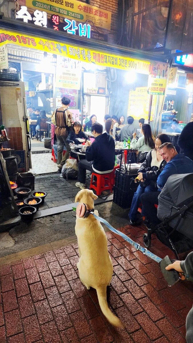 수원원조갈비