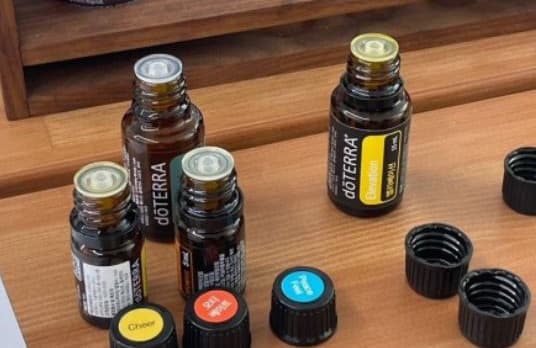 [4월 축제]양평 용문산 산나물축제❘기간, 일정, 프로그램, 사전 예약 방법