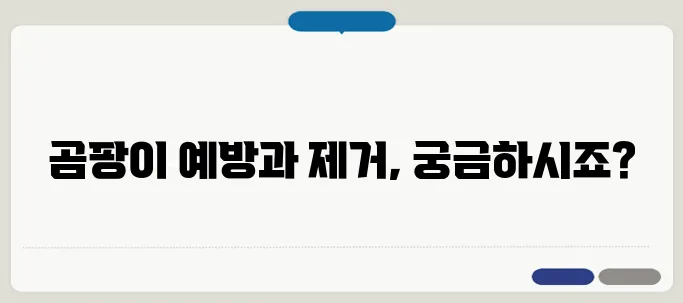 곰팡이 벽지 제거 방법과 예방법