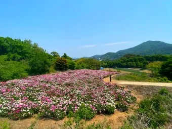 임실 가볼만한곳 베스트10 현지인 추천 필수코스_23