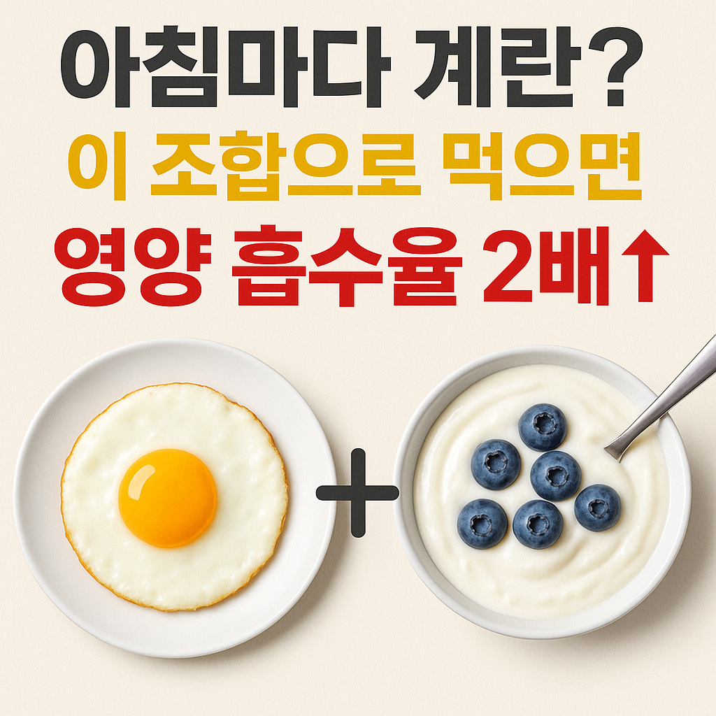계란의 영양