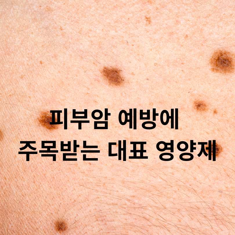 피부암 예방에 좋은 영양제 