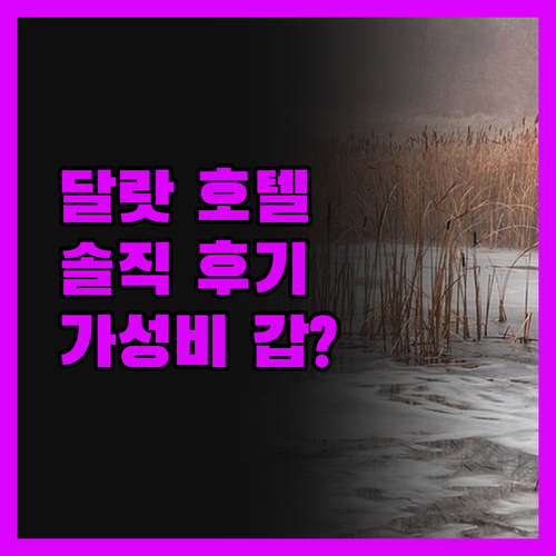 뉴 라이프 호텔 달랏, 가성비 갑?!