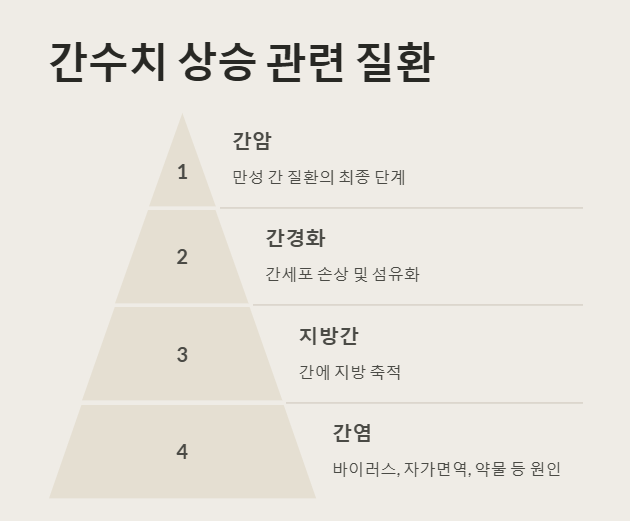 간수치 상승 관련 질환