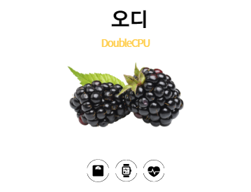 오디란?