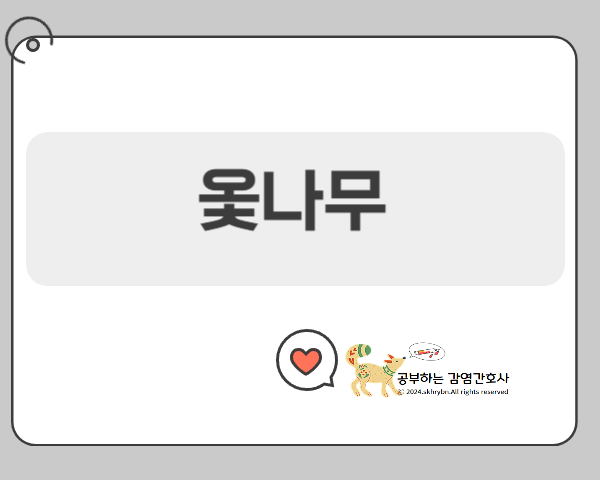 가려움 없이 극복하는 법, 미리 알아두면 좋은 정보