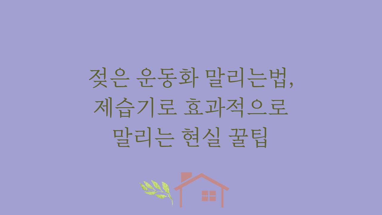 젖은 운동화 말리는법, 제습기로 효과적으로 말리는 현실 꿀팁  