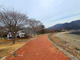 남해 앵강이다숲길