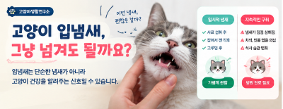 우리집냥이 입냄새 원인 구취가 심해졌다면 확인해야 할 건강 신호 치아 관리법 총정리