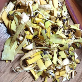 바나나 껍질 비료 활용 희석사용시기 냄새방지 천연영양 가이드_13