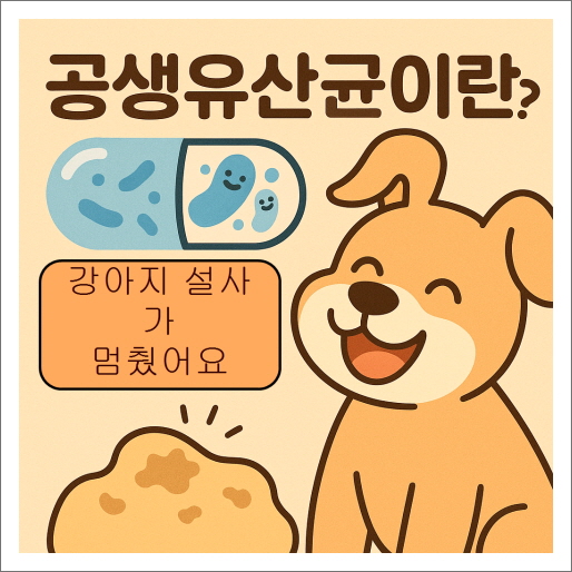 공생유산균이란? 뭐지? 강아지 설사가 멈췄어요