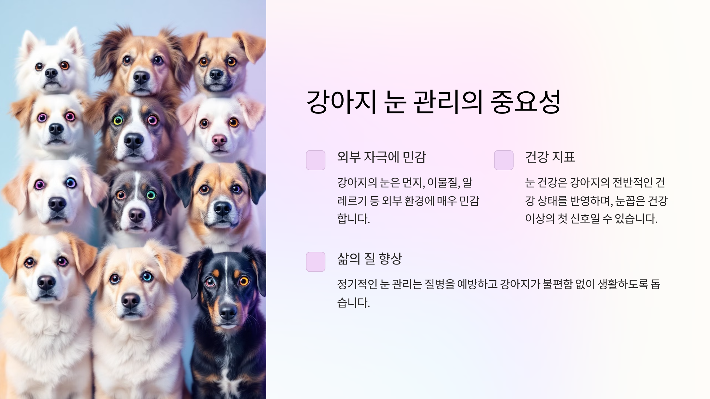 강아지 눈 관리를 왜 해야 하나요?