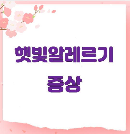 햇빛알레르기 증상