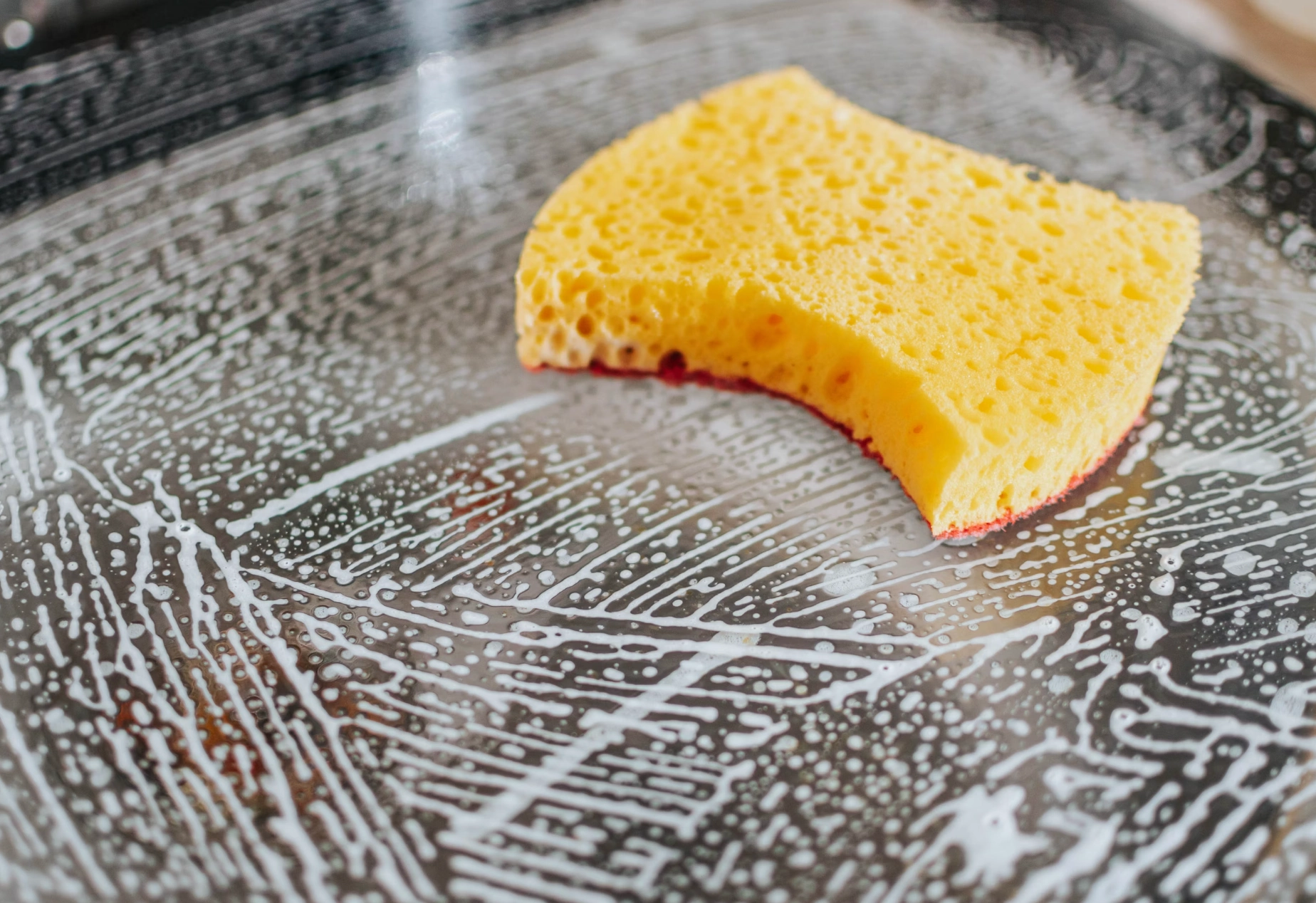 한타바이러스감염증 예방법