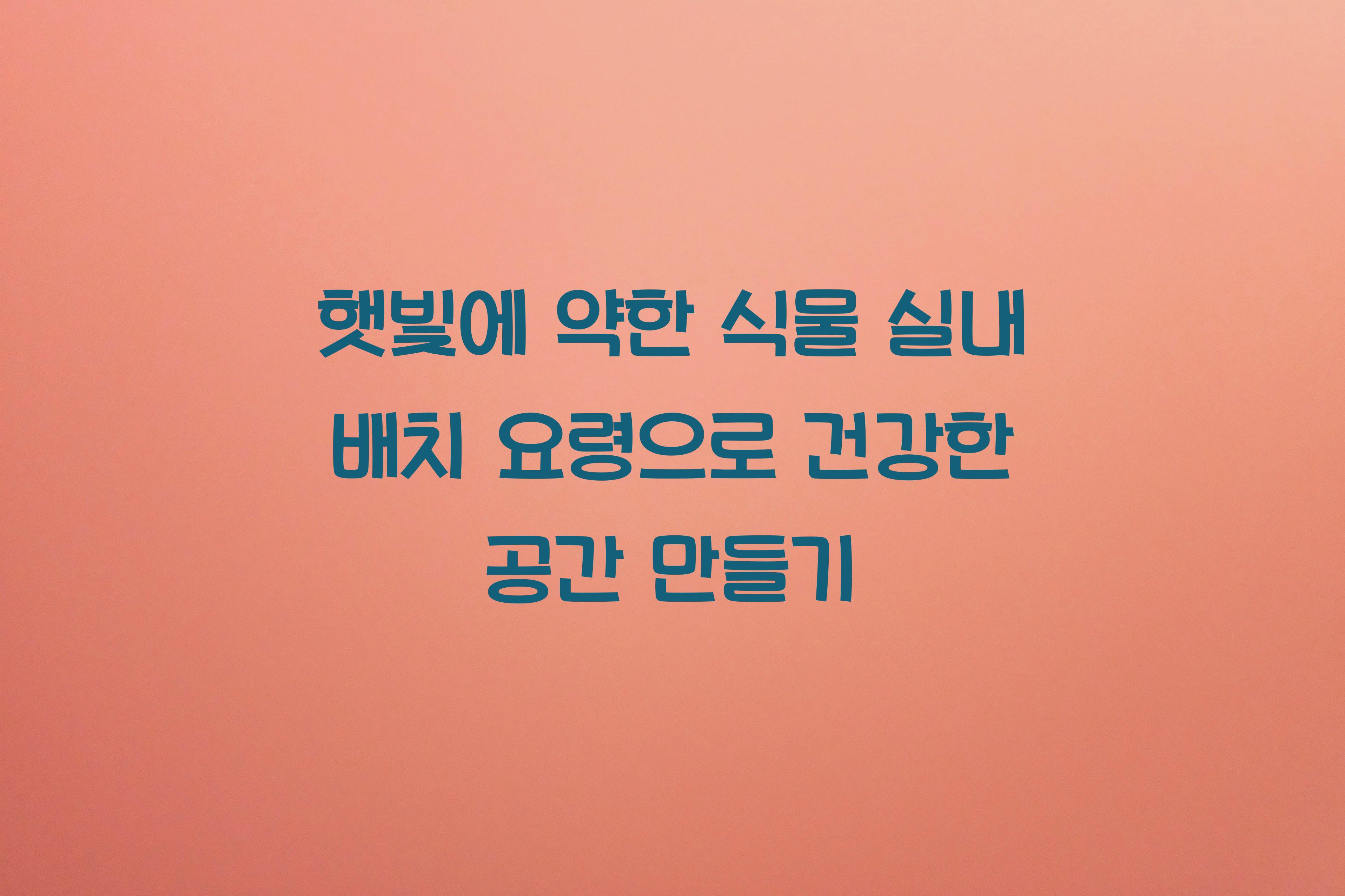 햇빛에 약한 식물 실내 배치 요령