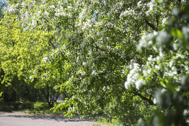 2022년 4월 18일~5월 15일 1개월 일기예보 봄 날씨 기온 강수 전망 예보15