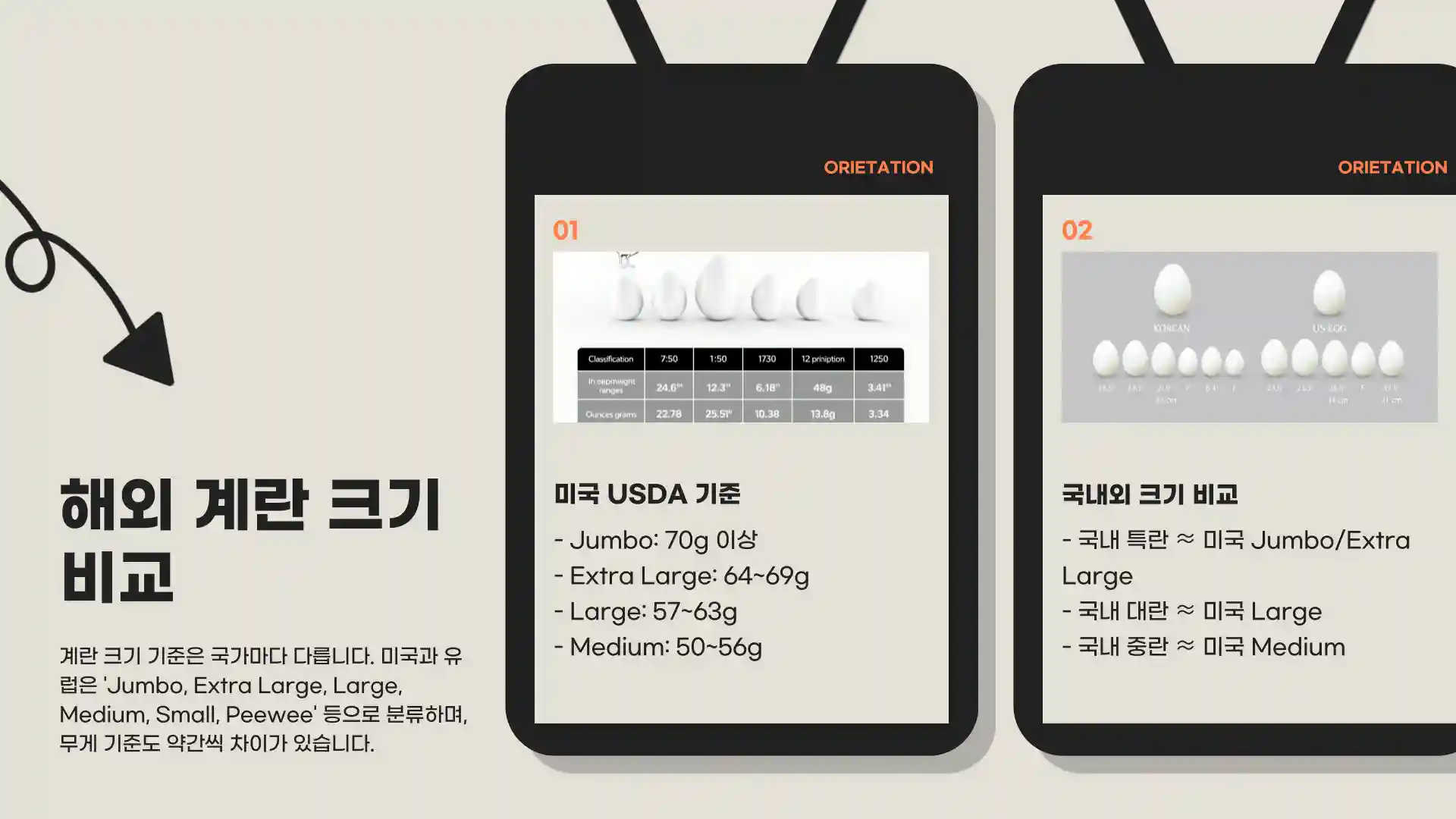 계란 크기 순서 종류 보관법