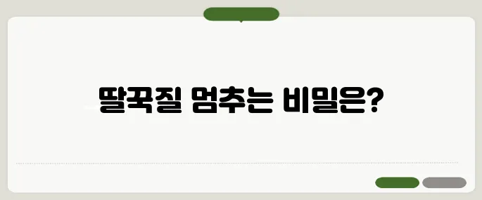 딸꾹질 멈추는 방법 진짜 효과 본 3가지