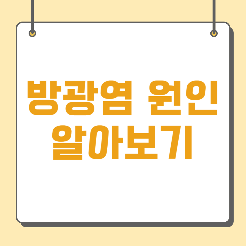 방광염 원인