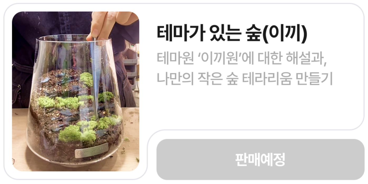 화담숲 프로그램