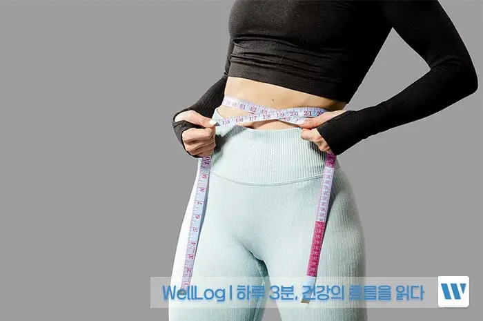 가르시니아 캄보지아 효능, 효과, 복용방법