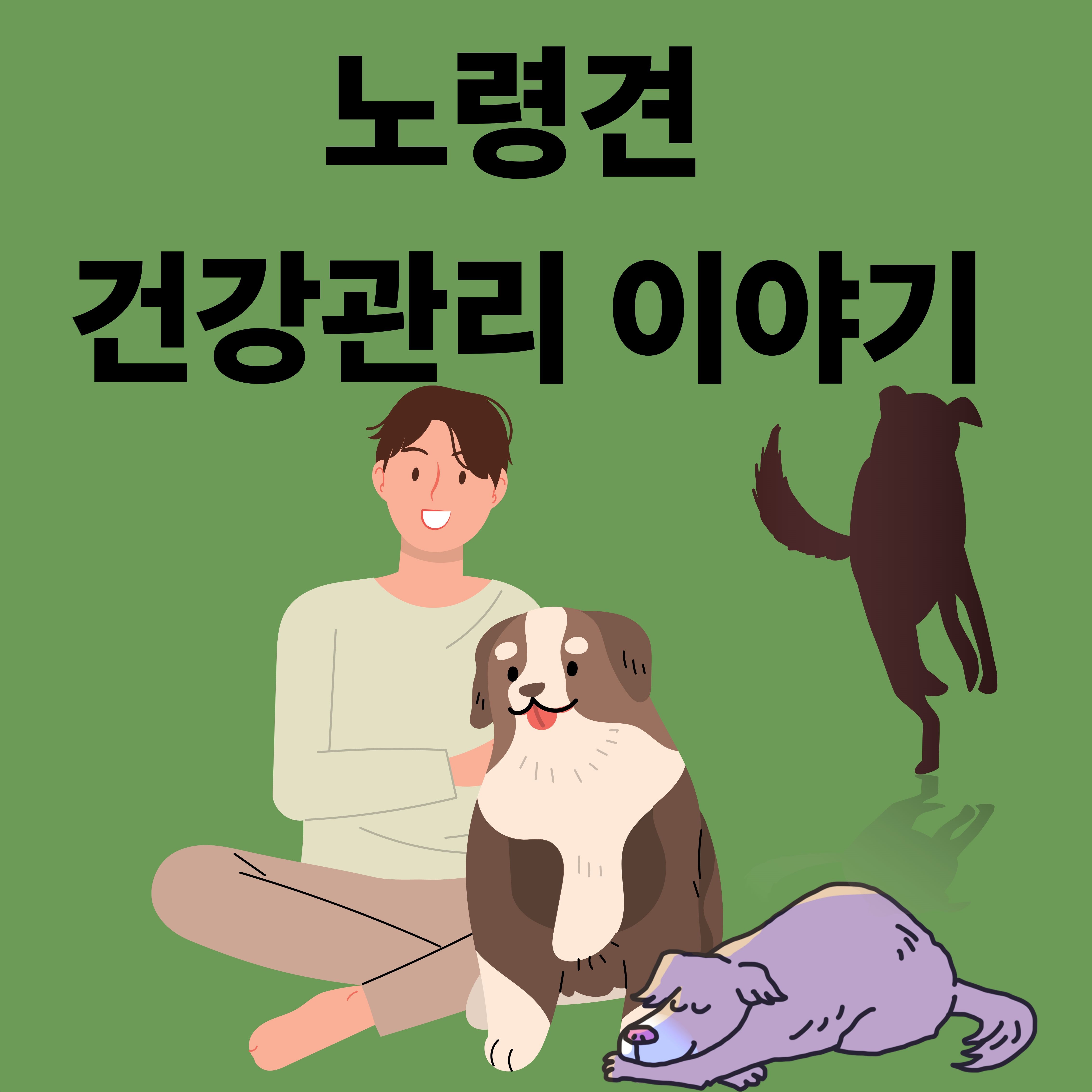 14살 노령견 건강관리 루틴|췌장·신장·간 케어 영양제 추천