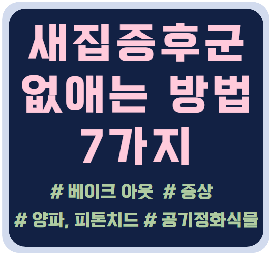 새집증후군 없애는 방법