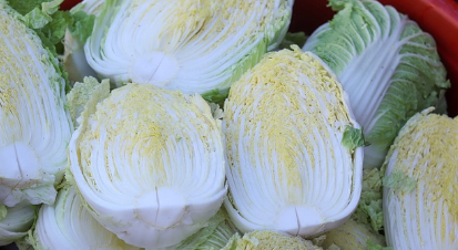 김장 담그는 과정과 배추 10포기 기준 재료 비율