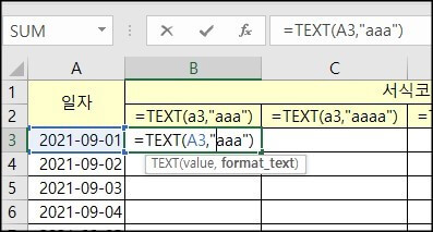 text-함수-서식코드-입력