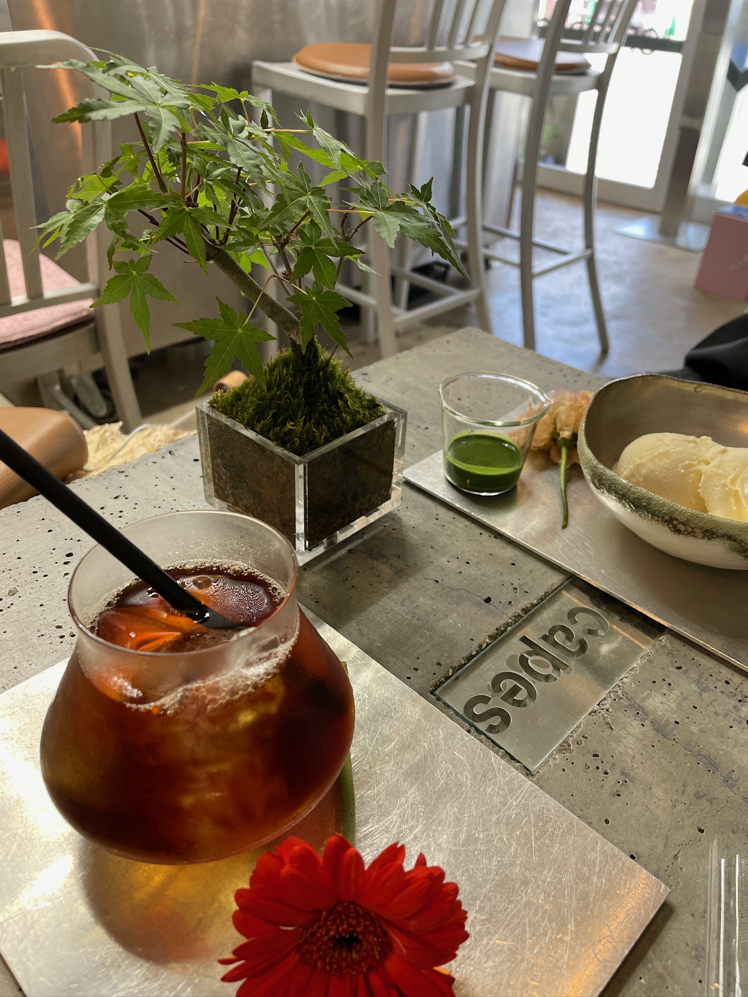 후쿠오카 분재 카페 커피