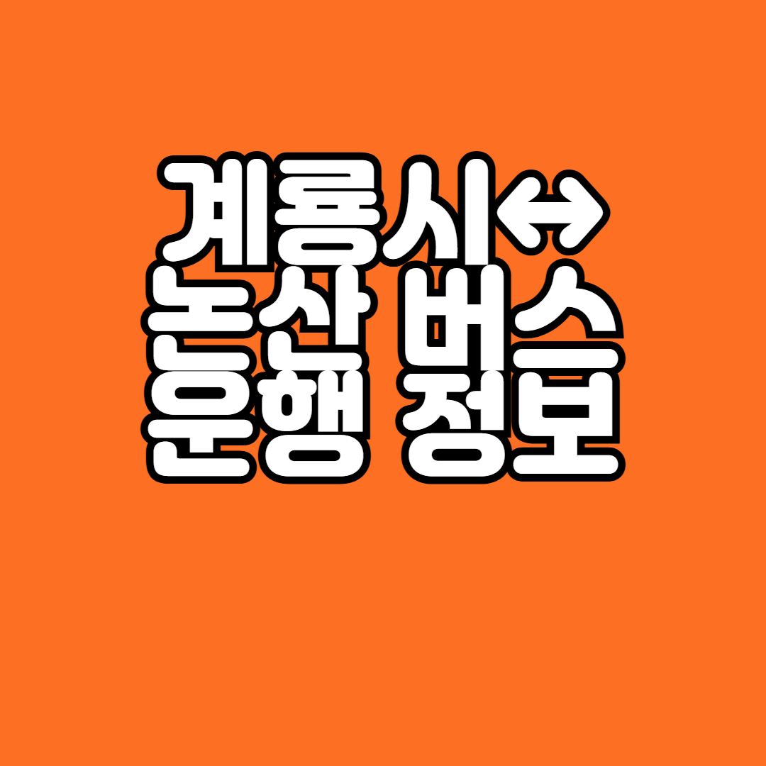 계룡시↔논산 303번 시내버스 노선 정보 운행 시간표