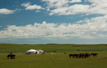 몽골 여행