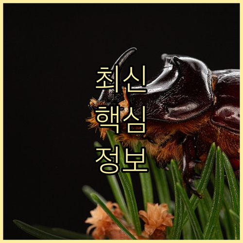 신한은행 급여통장 가이드: 똑똑한 직